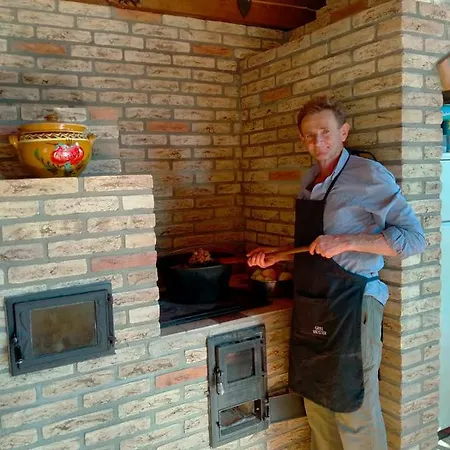 Pensiunea Casa La Cozacu Villa *