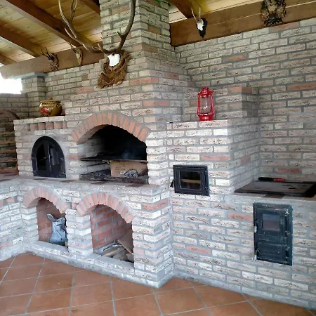 Villa Pensiunea Casa La Cozacu *