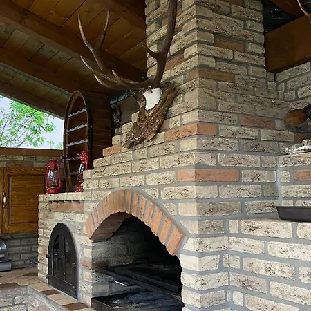 Villa Pensiunea Casa La Cozacu Moisei